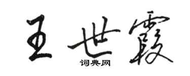 駱恆光王世霞行書個性簽名怎么寫