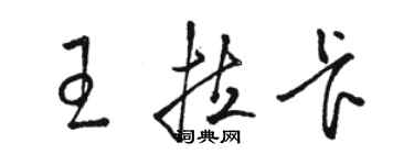 駱恆光王拉卡草書個性簽名怎么寫