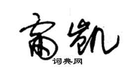 朱錫榮雷凱草書個性簽名怎么寫