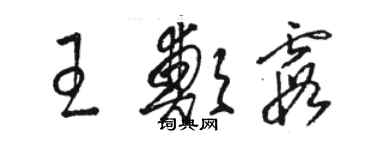 駱恆光王鄭霞草書個性簽名怎么寫