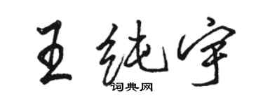 駱恆光王純宇行書個性簽名怎么寫