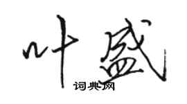 駱恆光葉盛行書個性簽名怎么寫