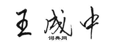 駱恆光王成中行書個性簽名怎么寫