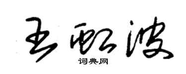 朱錫榮王虹波草書個性簽名怎么寫