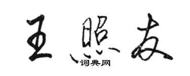 駱恆光王照友行書個性簽名怎么寫