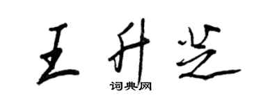 王正良王升芝行書個性簽名怎么寫