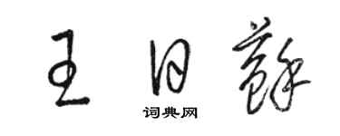 駱恆光王日蘇草書個性簽名怎么寫