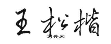 駱恆光王松楷行書個性簽名怎么寫