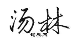 駱恆光湯林行書個性簽名怎么寫