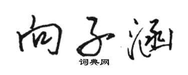 駱恆光向子涵行書個性簽名怎么寫