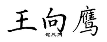 丁謙王向鷹楷書個性簽名怎么寫