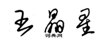 朱錫榮王晶星草書個性簽名怎么寫