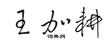 駱恆光王加耕草書個性簽名怎么寫