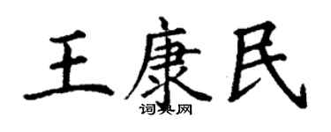 丁謙王康民楷書個性簽名怎么寫
