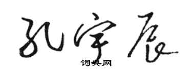 駱恆光孔宇辰草書個性簽名怎么寫