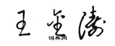 駱恆光王金濤草書個性簽名怎么寫