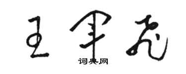 駱恆光王軍飛草書個性簽名怎么寫