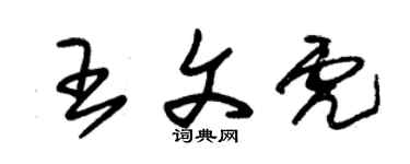 朱錫榮王文虎草書個性簽名怎么寫