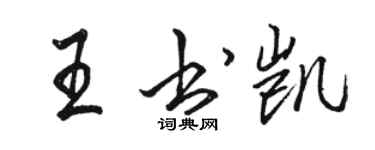 駱恆光王書凱行書個性簽名怎么寫