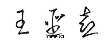 駱恆光王聖喜草書個性簽名怎么寫