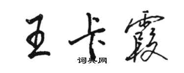 駱恆光王卡霞行書個性簽名怎么寫