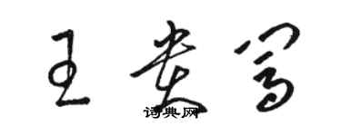 駱恆光王貴闖草書個性簽名怎么寫