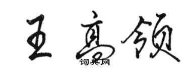 駱恆光王高領行書個性簽名怎么寫