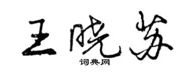 曾慶福王曉蘇行書個性簽名怎么寫
