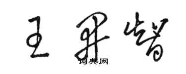 駱恆光王開智草書個性簽名怎么寫