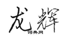 駱恆光龍輝行書個性簽名怎么寫