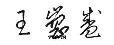 駱恆光王崗盛草書個性簽名怎么寫