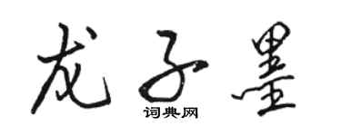 駱恆光龍子墨行書個性簽名怎么寫