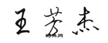 駱恆光王芳傑行書個性簽名怎么寫