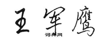 駱恆光王軍鷹行書個性簽名怎么寫