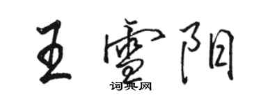 駱恆光王雪陽行書個性簽名怎么寫