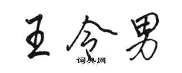 駱恆光王令男行書個性簽名怎么寫