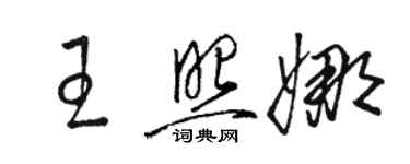 駱恆光王照娜草書個性簽名怎么寫