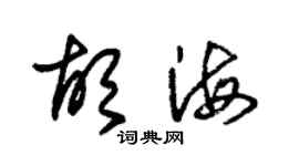 朱錫榮胡海草書個性簽名怎么寫