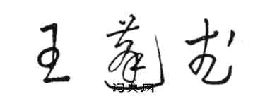 駱恆光王蓬武草書個性簽名怎么寫