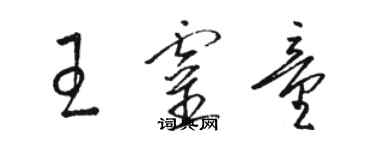 駱恆光王靈童草書個性簽名怎么寫