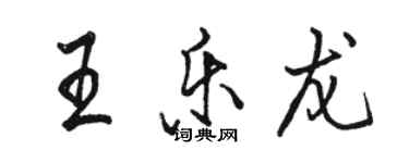 駱恆光王樂龍行書個性簽名怎么寫