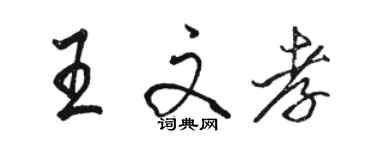 駱恆光王文孝行書個性簽名怎么寫