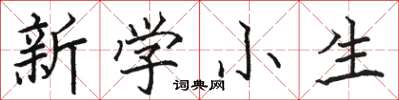 駱恆光新學小生楷書怎么寫