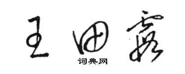 駱恆光王田霞草書個性簽名怎么寫