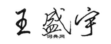 駱恆光王盛宇行書個性簽名怎么寫