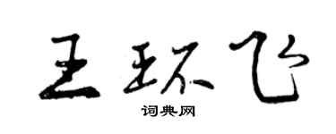 曾慶福王環飛行書個性簽名怎么寫