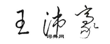 駱恆光王沛豪草書個性簽名怎么寫