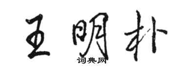 駱恆光王明朴行書個性簽名怎么寫