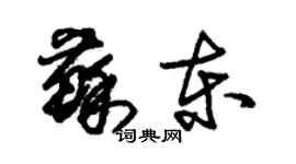 朱錫榮蘇東草書個性簽名怎么寫