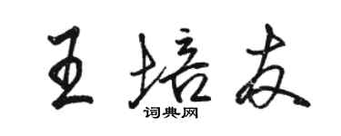 駱恆光王培友行書個性簽名怎么寫